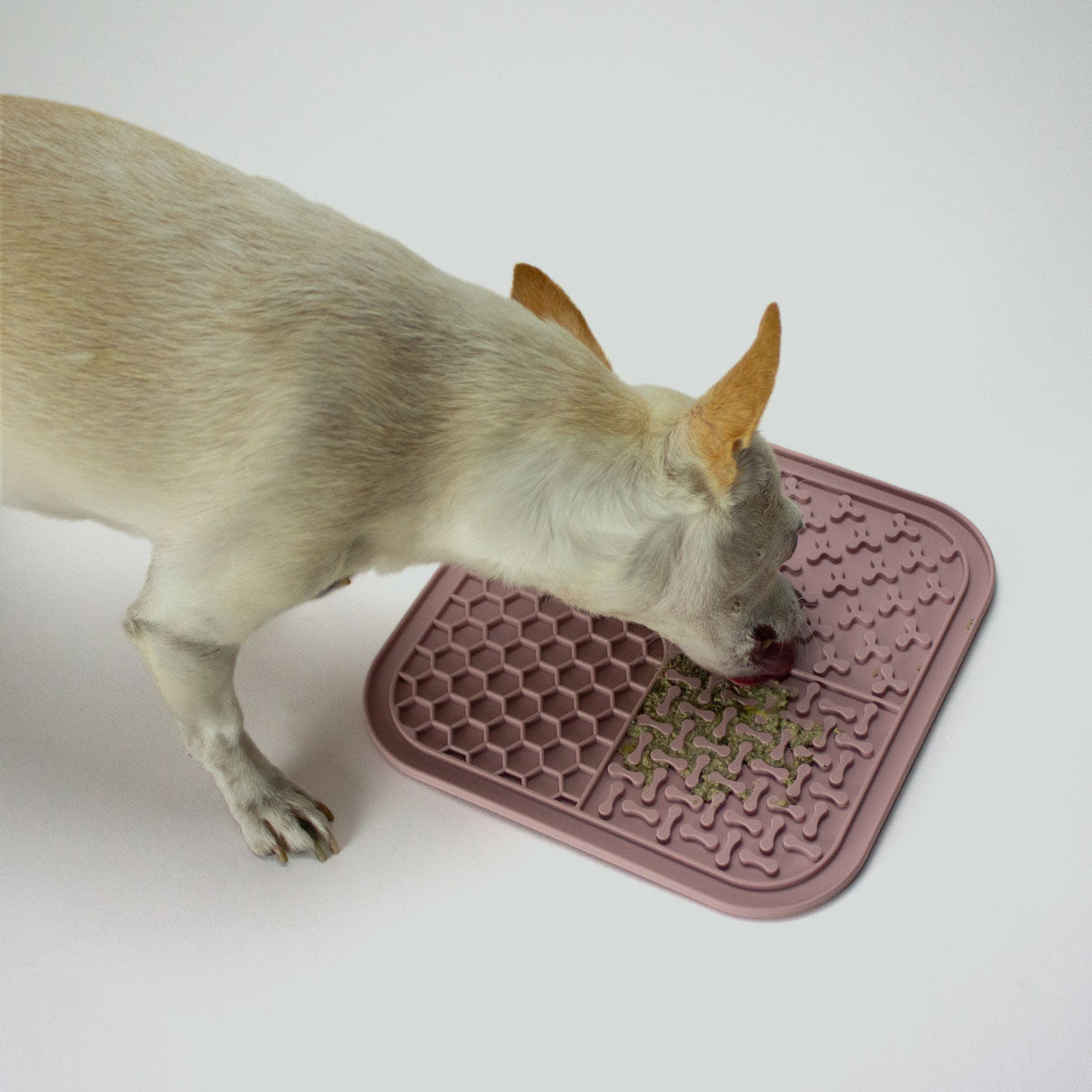 Dog licks mat