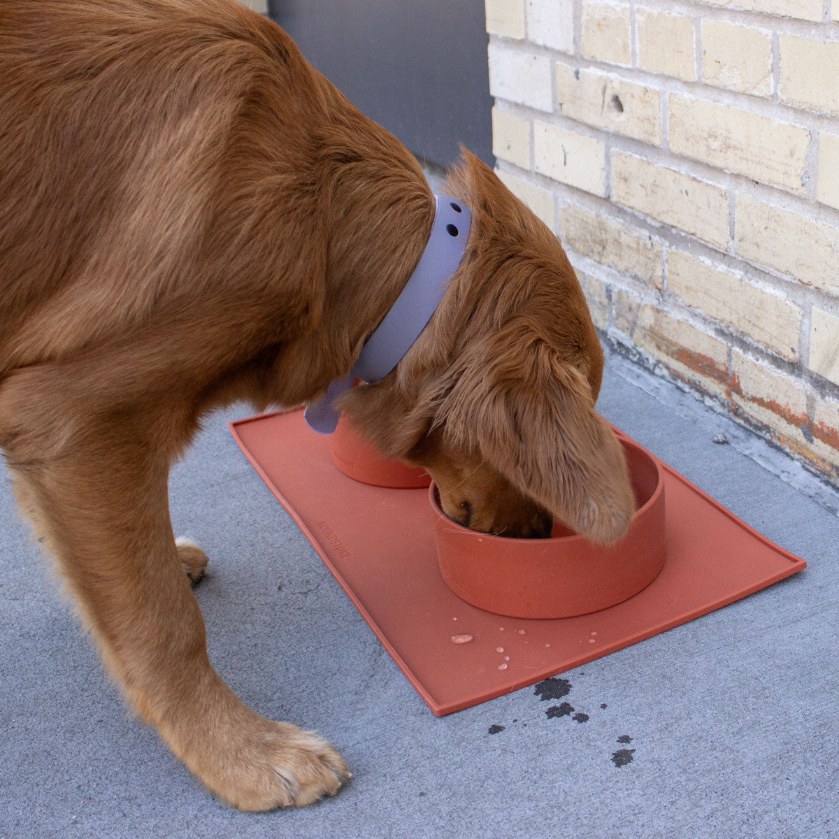 silicone dog bowl mat terracotta