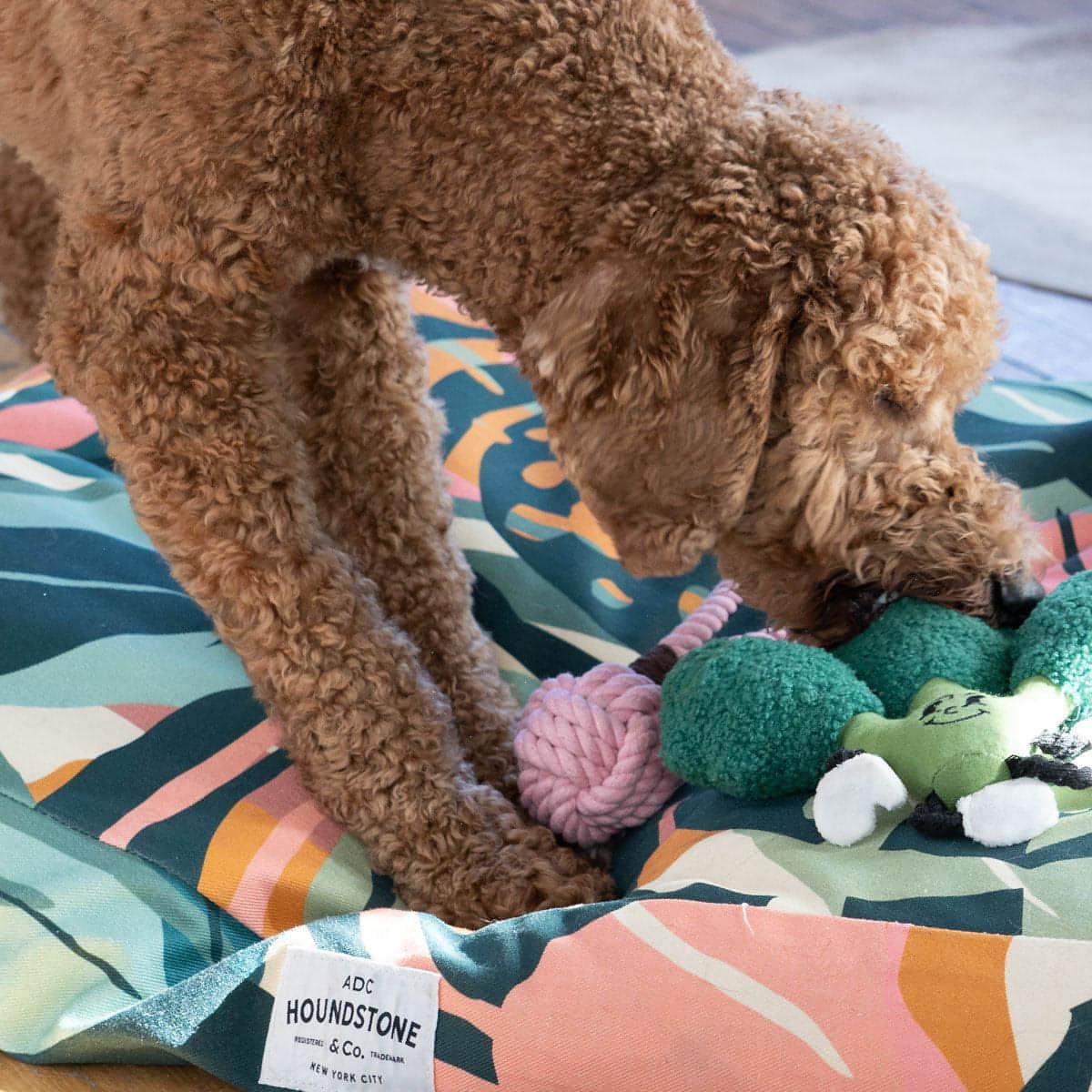 The "Eat Your Greens" Broccoli Plush Dog Toy