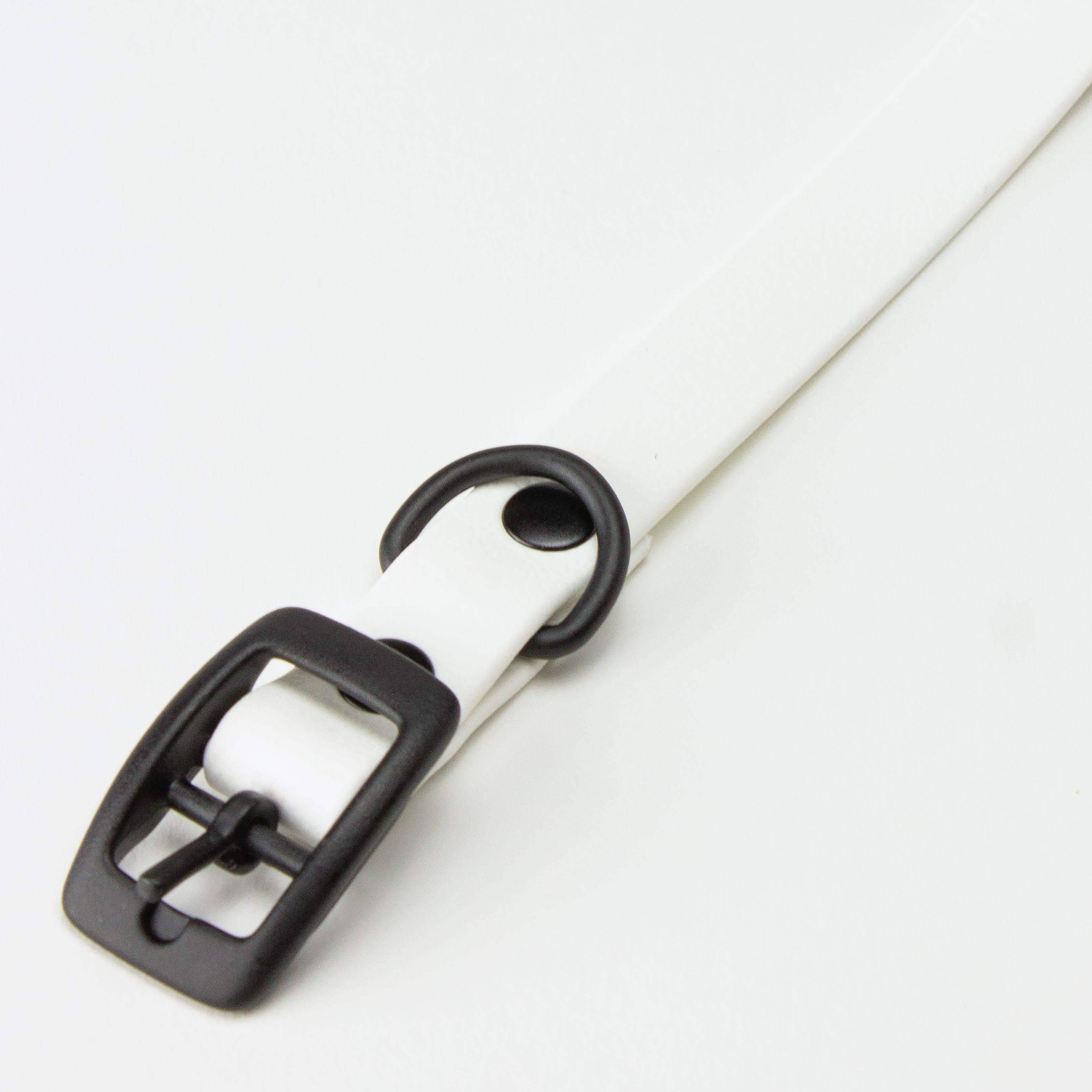 white dog collar