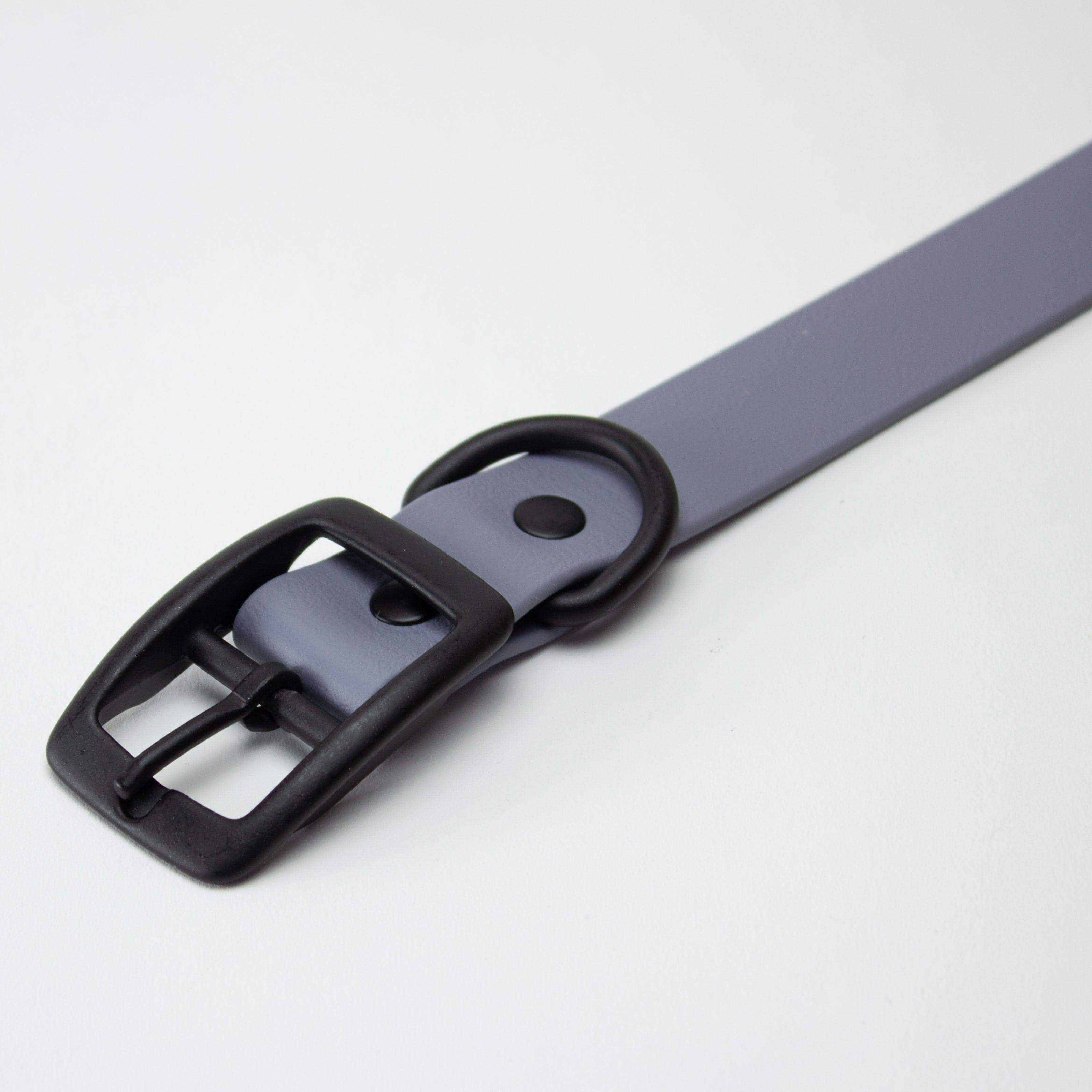 gray violet collar