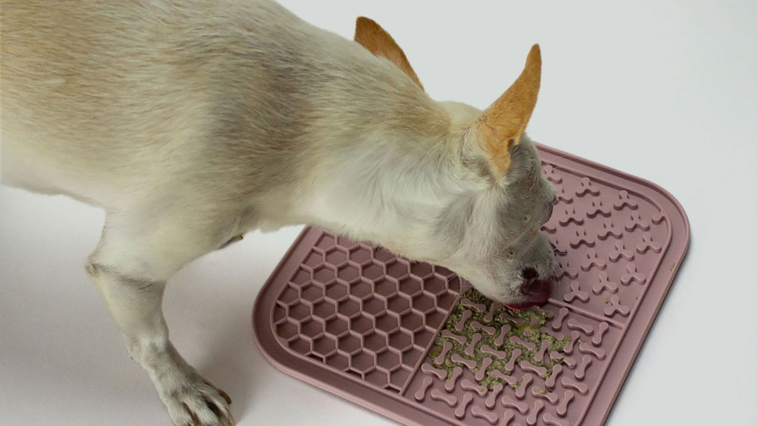Dog licking mat