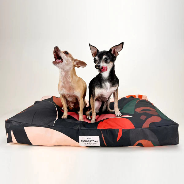 dog pillows and dog beds