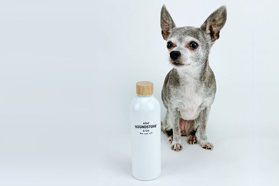 The Houndstone Journey: From Rescue Missions to Creating Luxury Pet Products