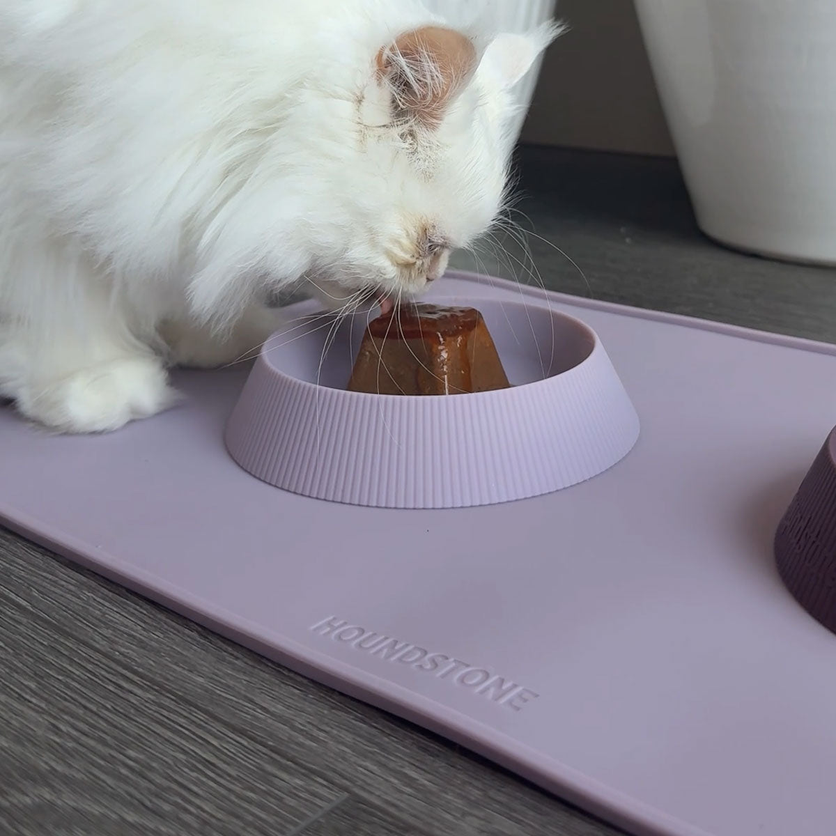 Houndstone silicone cat bowl in mauve and plum in front of a white Persian cat