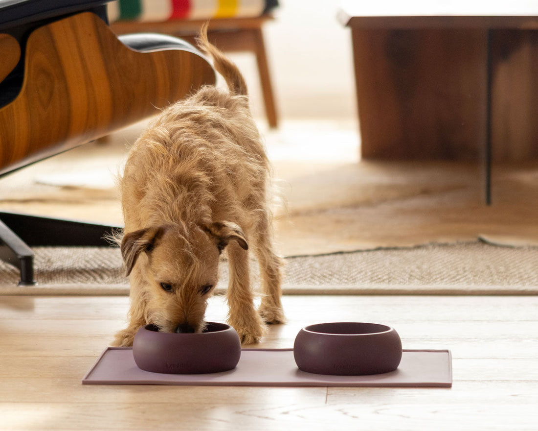 silicone dog bowls and dog bowl mat in charcoal