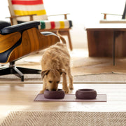 The Small But Mighty Dog Feeding & Play Set | Save 15%