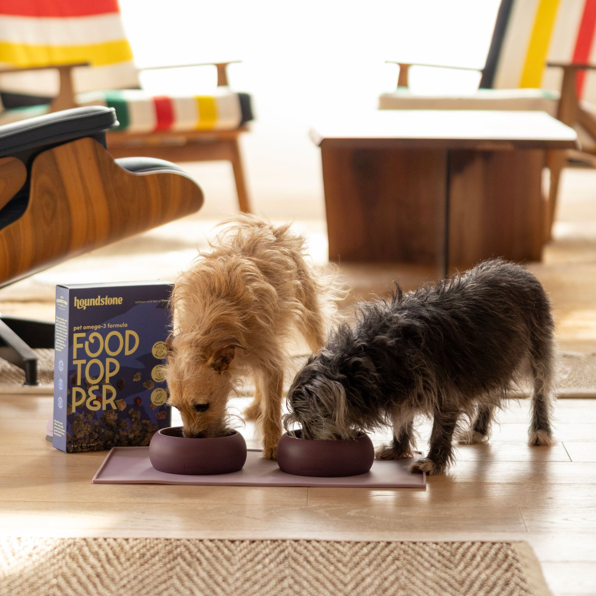 The Coquito Silicone Dog Bowl, 1 Cup, Caribbean Sea