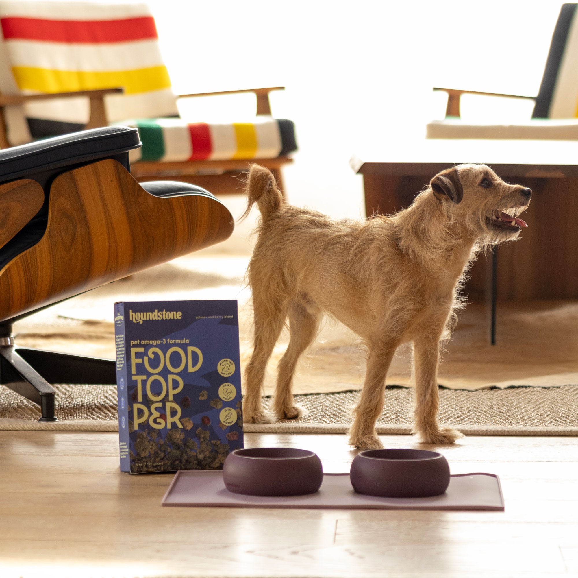 The Coquito Silicone Dog Bowl, 1 Cup, Caribbean Sea