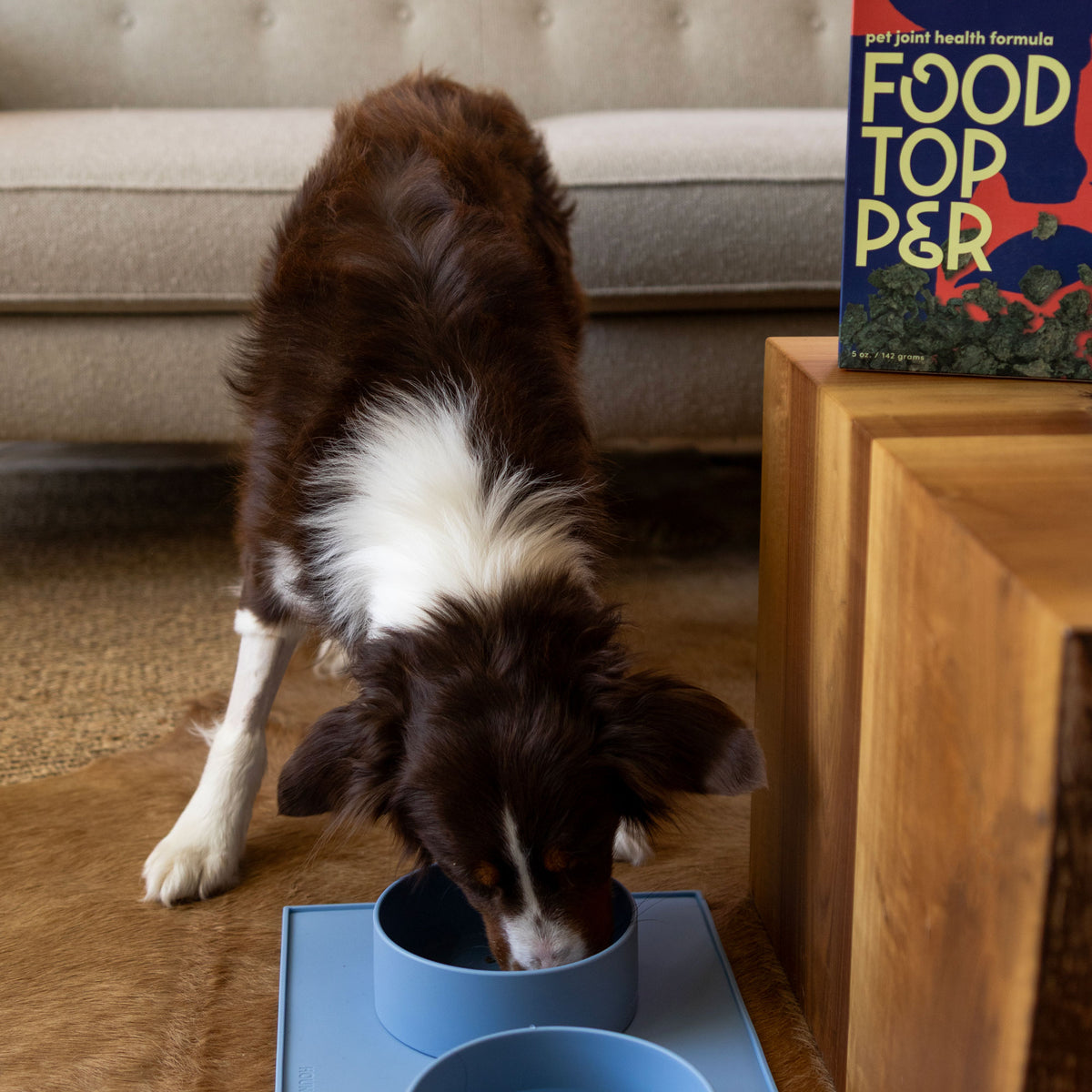 The Pony Silicone Pet Bowl & Feeding Mat Set in Sky Blue | Save 15%