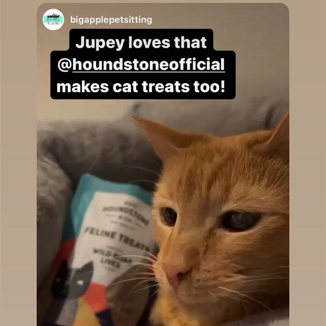 ADC Houndstone & Co. 
