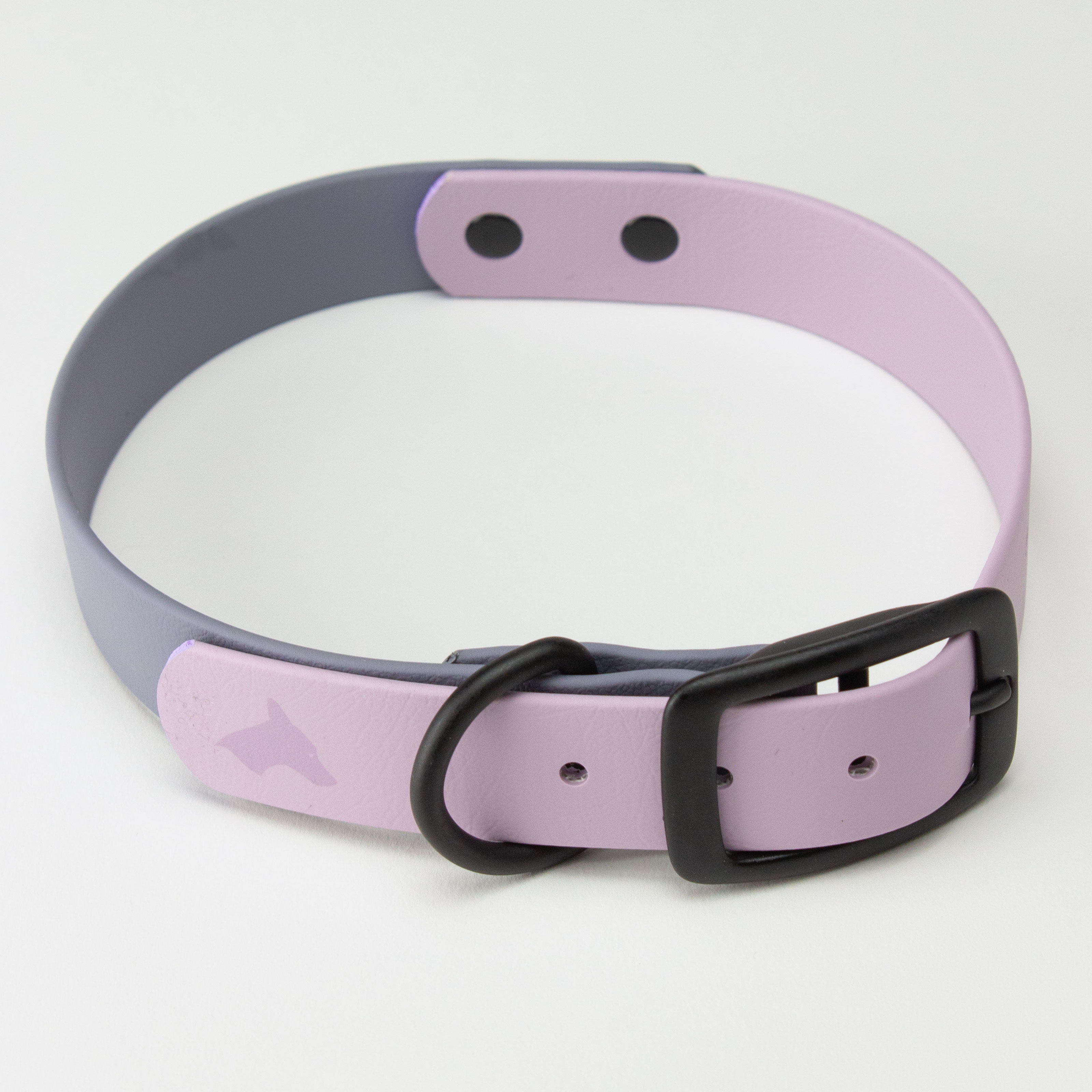 Violet dog clearance collar