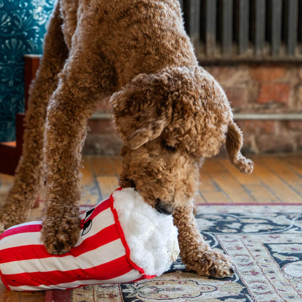 Popcorn Interactive Dog Toy with Treat Pockets, Mental Stimulation Dog Toy