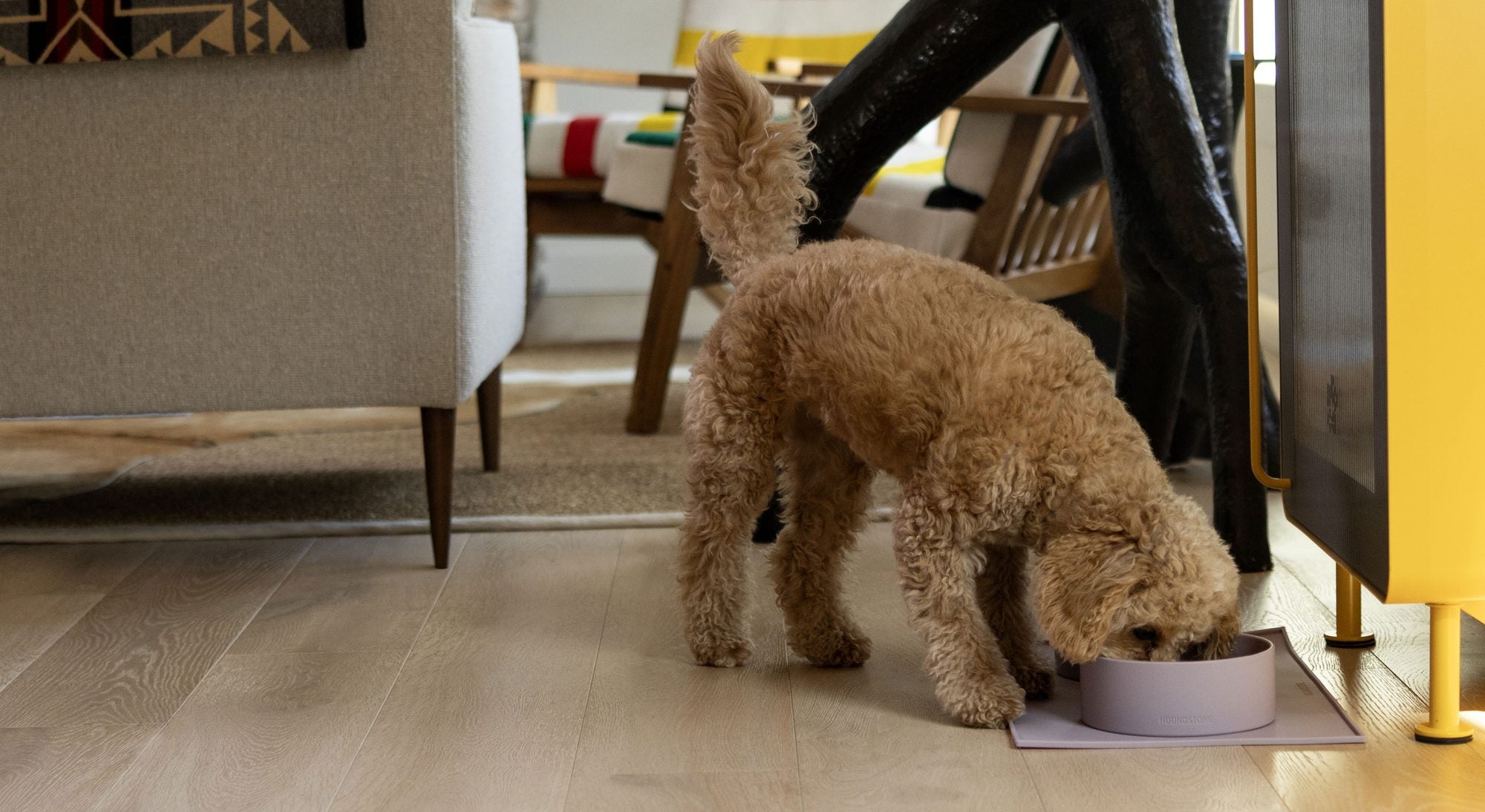 Curly-haired dog eating from a mauve Houndstone silicone bowl on a matching feeding mat in a bright living room