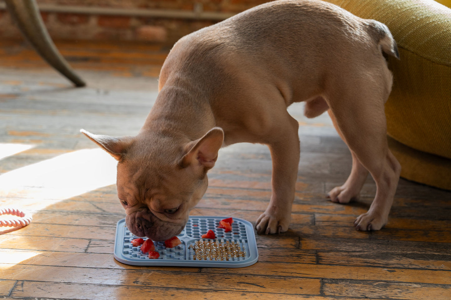 Dog Lick Mat, Dusty Rose (Pink), Food-Grade Silicone, 8" x 8", Dishwasher Safe