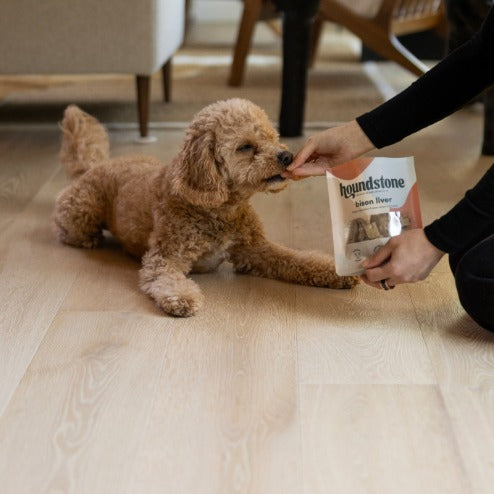 A light brown poodle mix lies on a light wood floor while a person in a black outfit offers a dog treat from a bag labeled houndstone freeze dried dog treats.