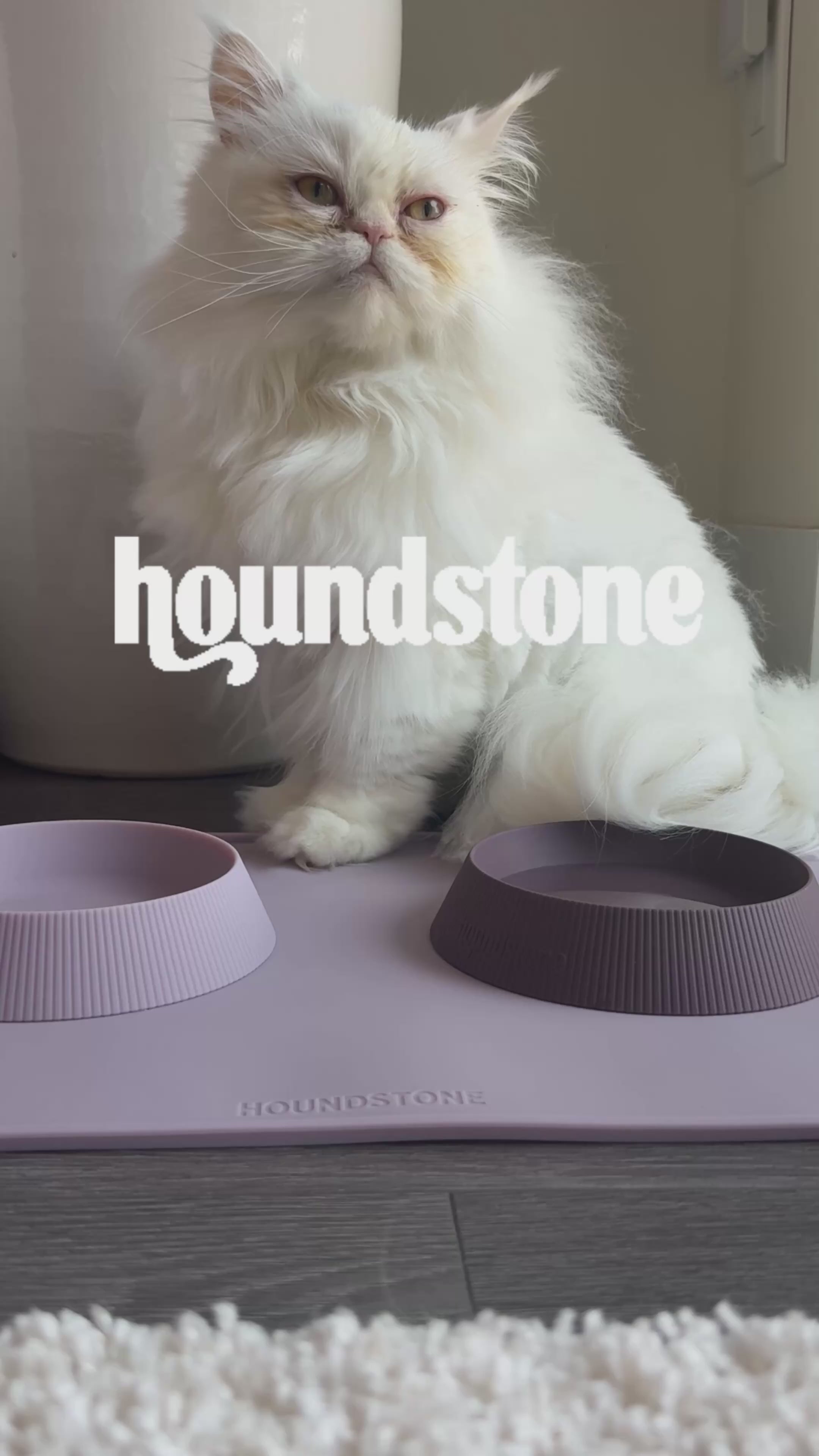 Load video: Houndstone Food Grade Silicone Cat Bowl, Dishwasher Safe, Mauve