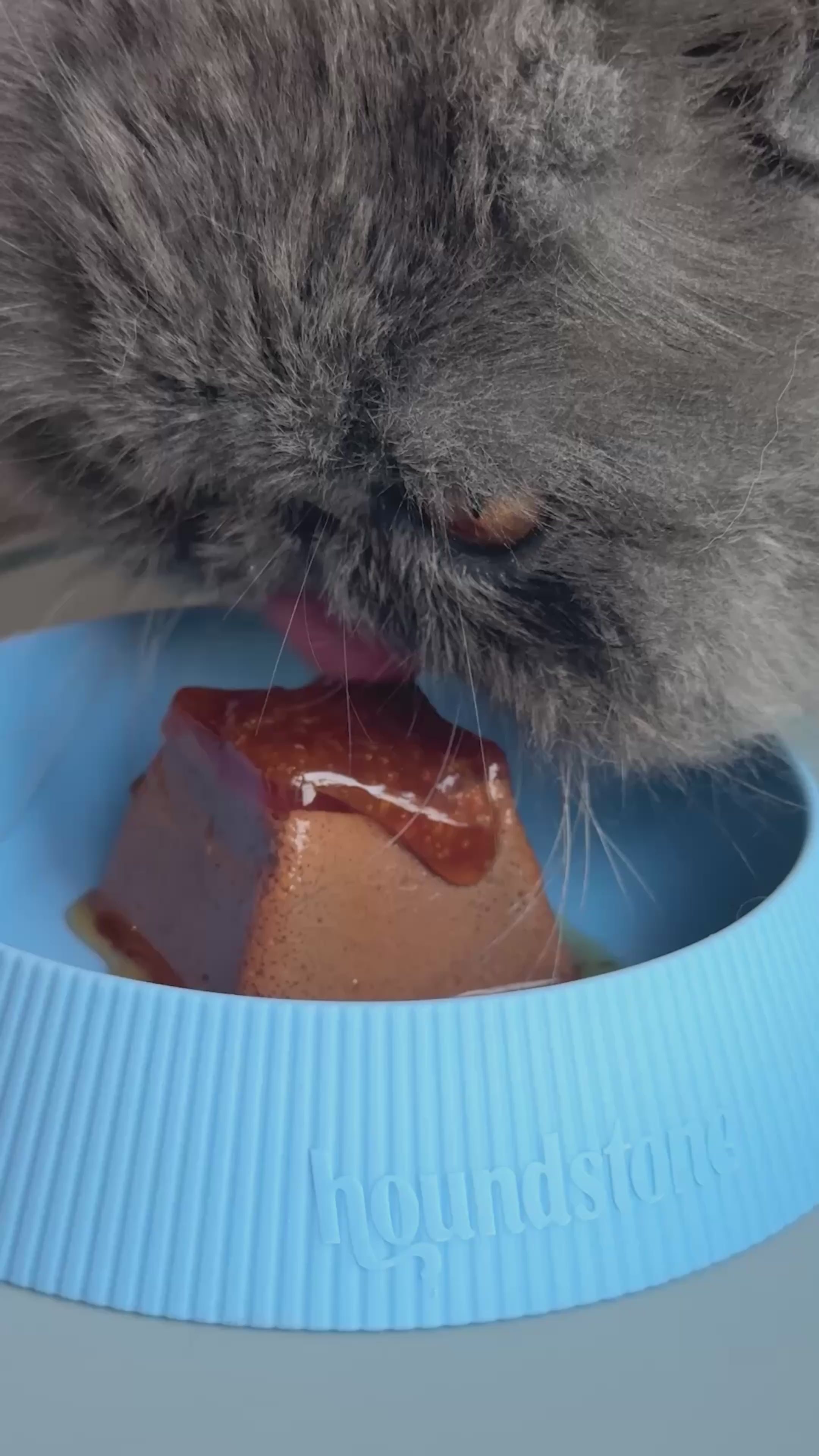 Load video: Houndstone Food Grade Silicone Cat Bowl, Dishwasher Safe, Mauve