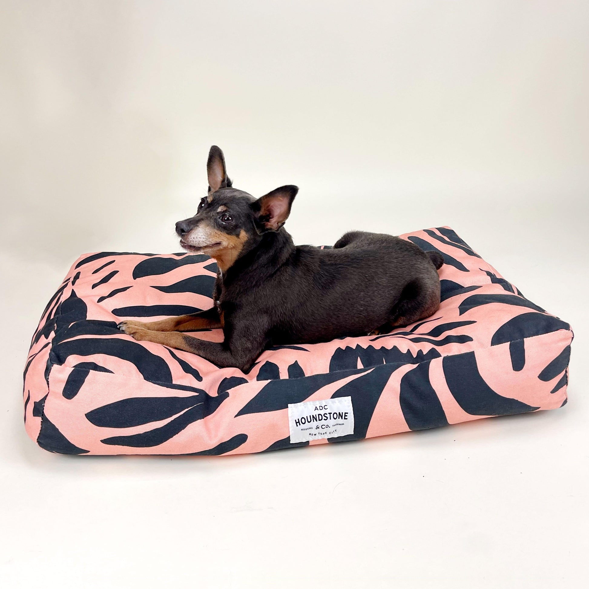 dog bed BP small with Maura